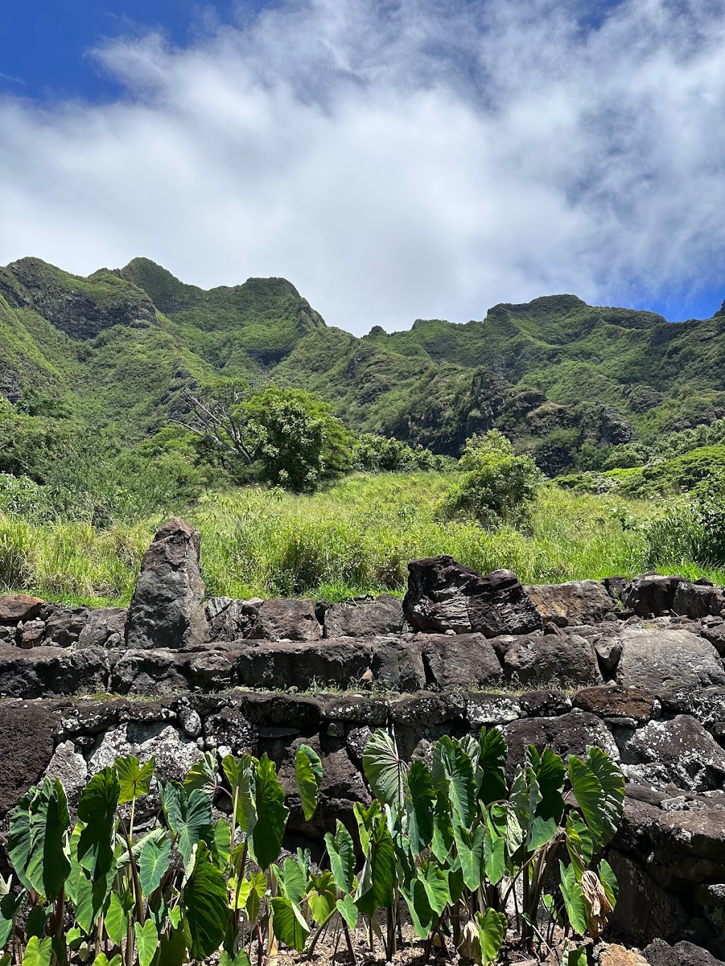 Puu Manamana Hike | Koolauloa, Kaneohe, HI 96744, USA | Phone: (651) 334-0507