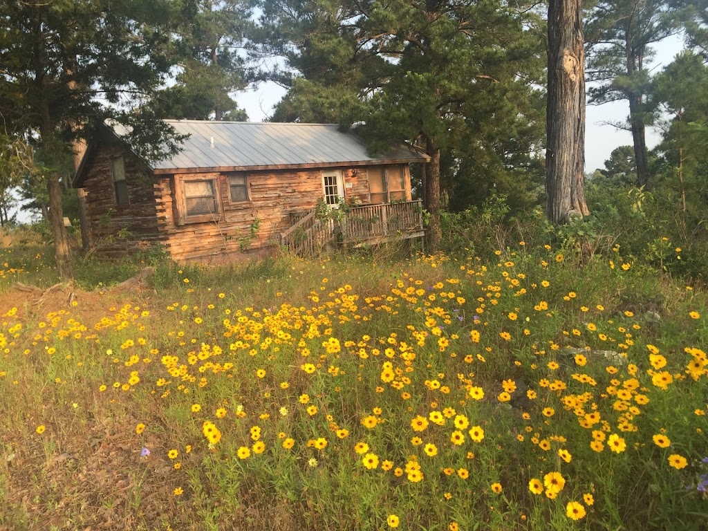 The Eagles Nest Log Cabin | 2158 TX-304 #4, Smithville, TX 78957, USA | Phone: (512) 497-9502