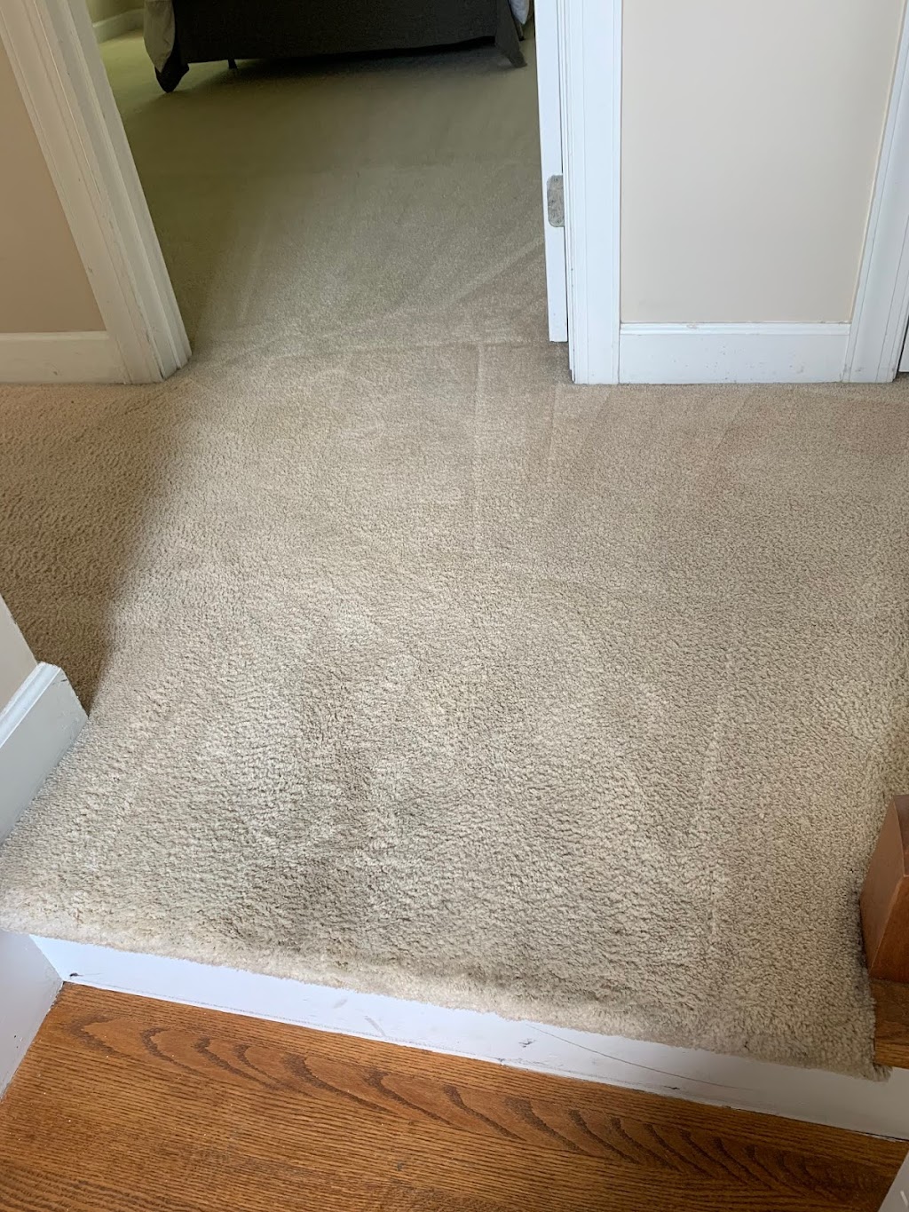 A Step Ahead Carpet and Upholstery Cleaning Inc. | 505 Meadowlands Dr STE 105, Hillsborough, NC 27278, USA | Phone: (919) 730-8769