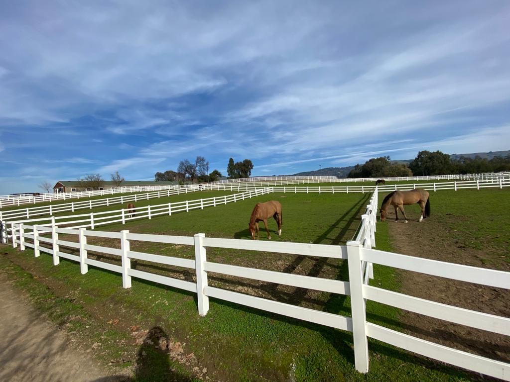 DiCorti Bush Equestrian | 9380 New Ave, Gilroy, CA 95020, USA | Phone: (831) 234-7269