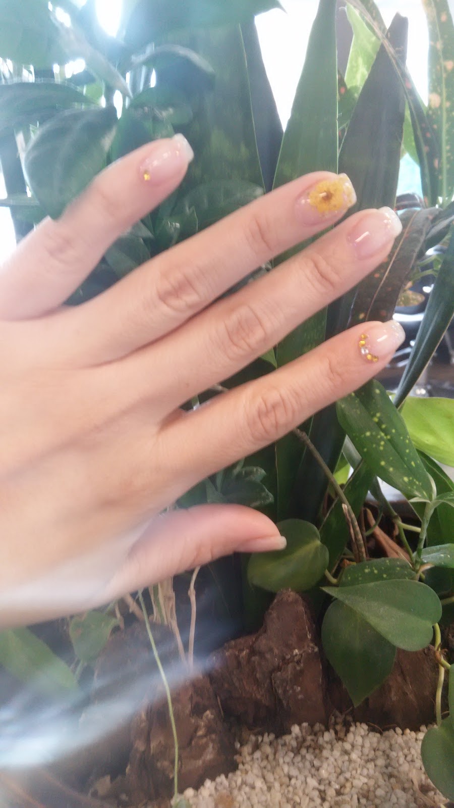 Elan Hair & Nails | 1605 Forest Ave, Staten Island, NY 10302, USA | Phone: (718) 816-6016