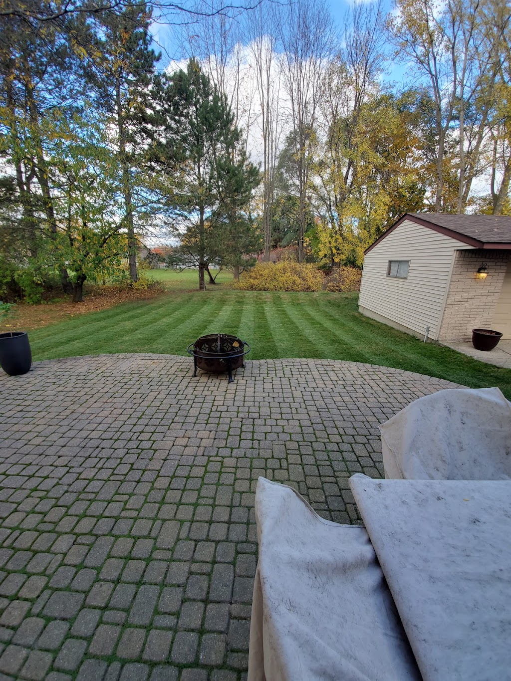 Alpine Tree & Lawn Care | 43742 Merrill Rd, Sterling Heights, MI 48314 | Phone: (586) 884-7799