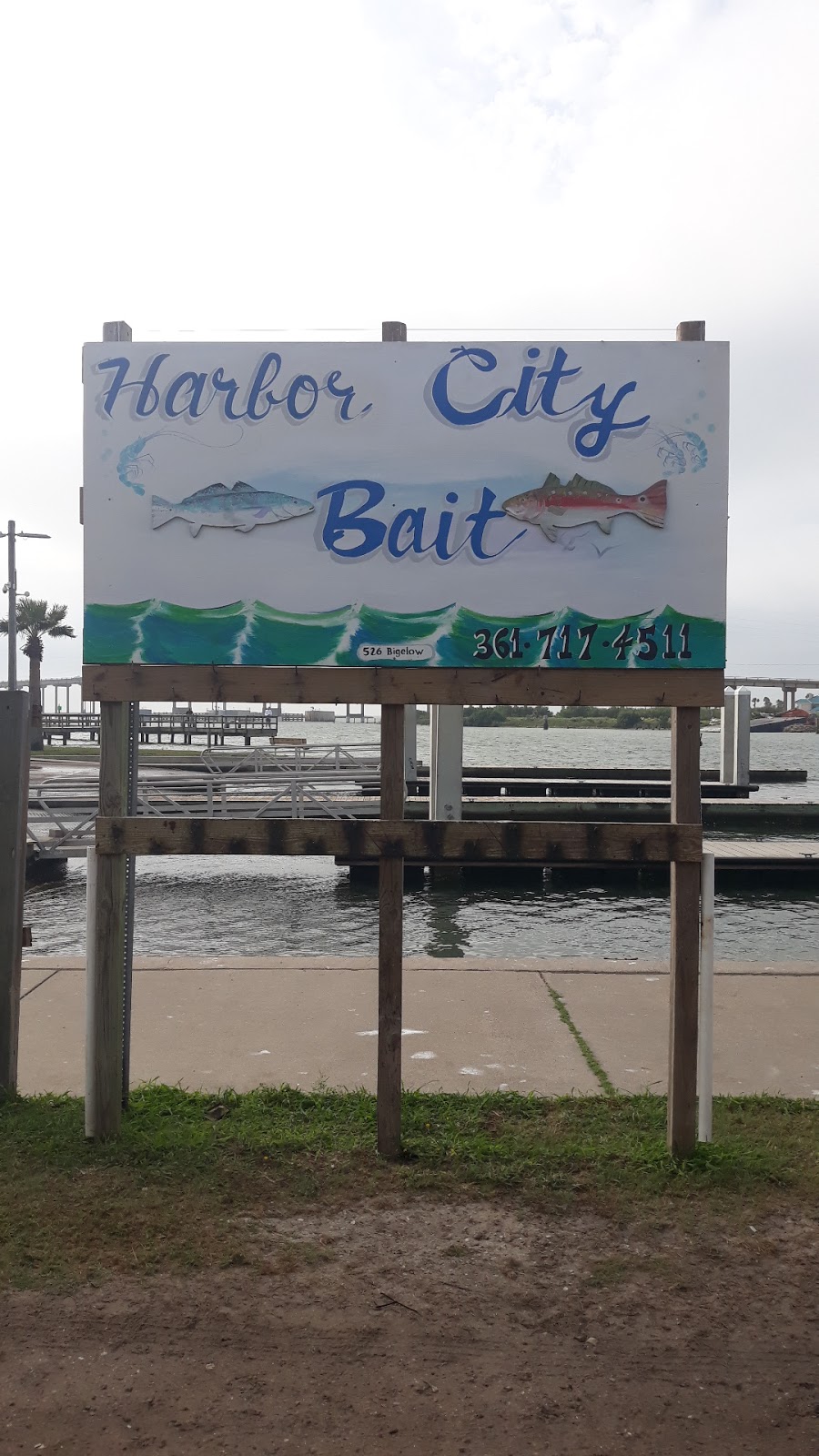 Harbor city bait | 526 Bigelow St, Aransas Pass, TX 78336, USA | Phone: (361) 717-4511