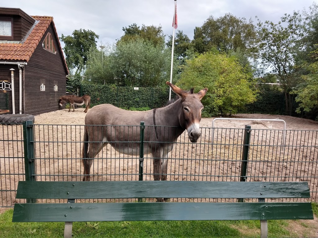 Childrens Farm De Bijlmerweide | Provincialeweg 46-A, 1103 SB Amsterdam-Zuidoost, Netherlands | Phone: 020 695 1149