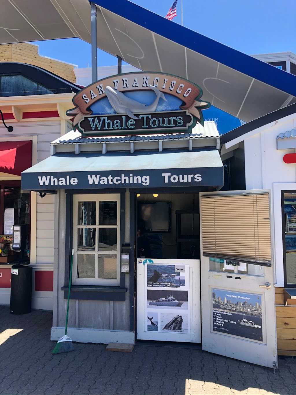 SF Bay Whale Watching | Pier 39, Beach St, San Francisco, CA 94133, USA | Phone: (415) 331-6267