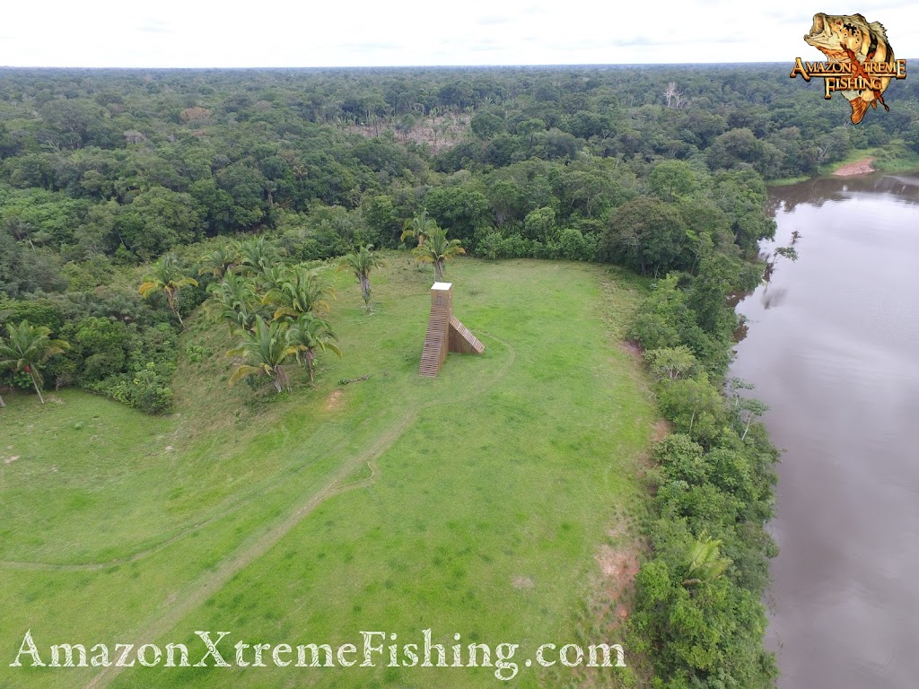 Peacock Bass | Amazon Xtreme Fishing Adventures | 8009 Settlement Dr Suite - 01, Denton, TX 76210, USA | Phone: (469) 995-5351