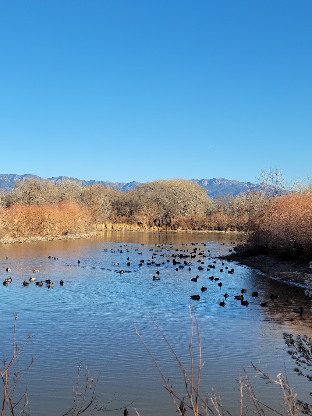 Alameda Open Space | Alameda Blvd NW, Rio Grande Blvd NW, Albuquerque, NM 87104 | Phone: (505) 468-7000