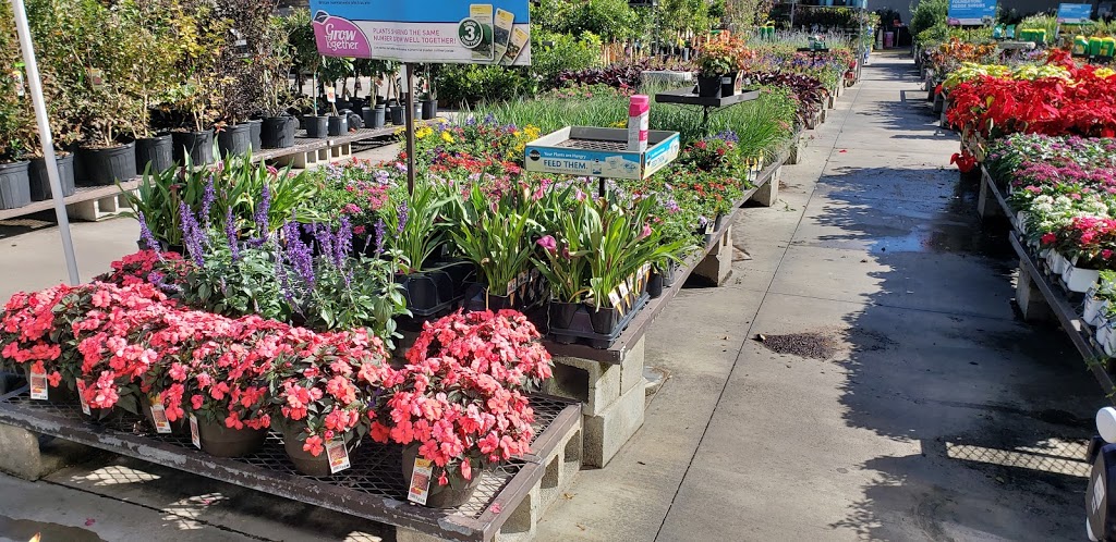 Lowes Garden Center | 6201 Commerce Palms Dr, Tampa, FL 33647, USA | Phone: (813) 558-6760