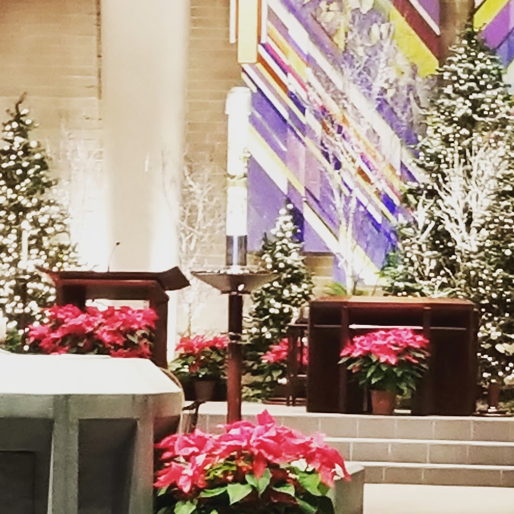 Saint Elizabeth Seton Catholic Church | 9300 W 167th St, Orland Hills, IL 60487, USA | Phone: (708) 403-0101