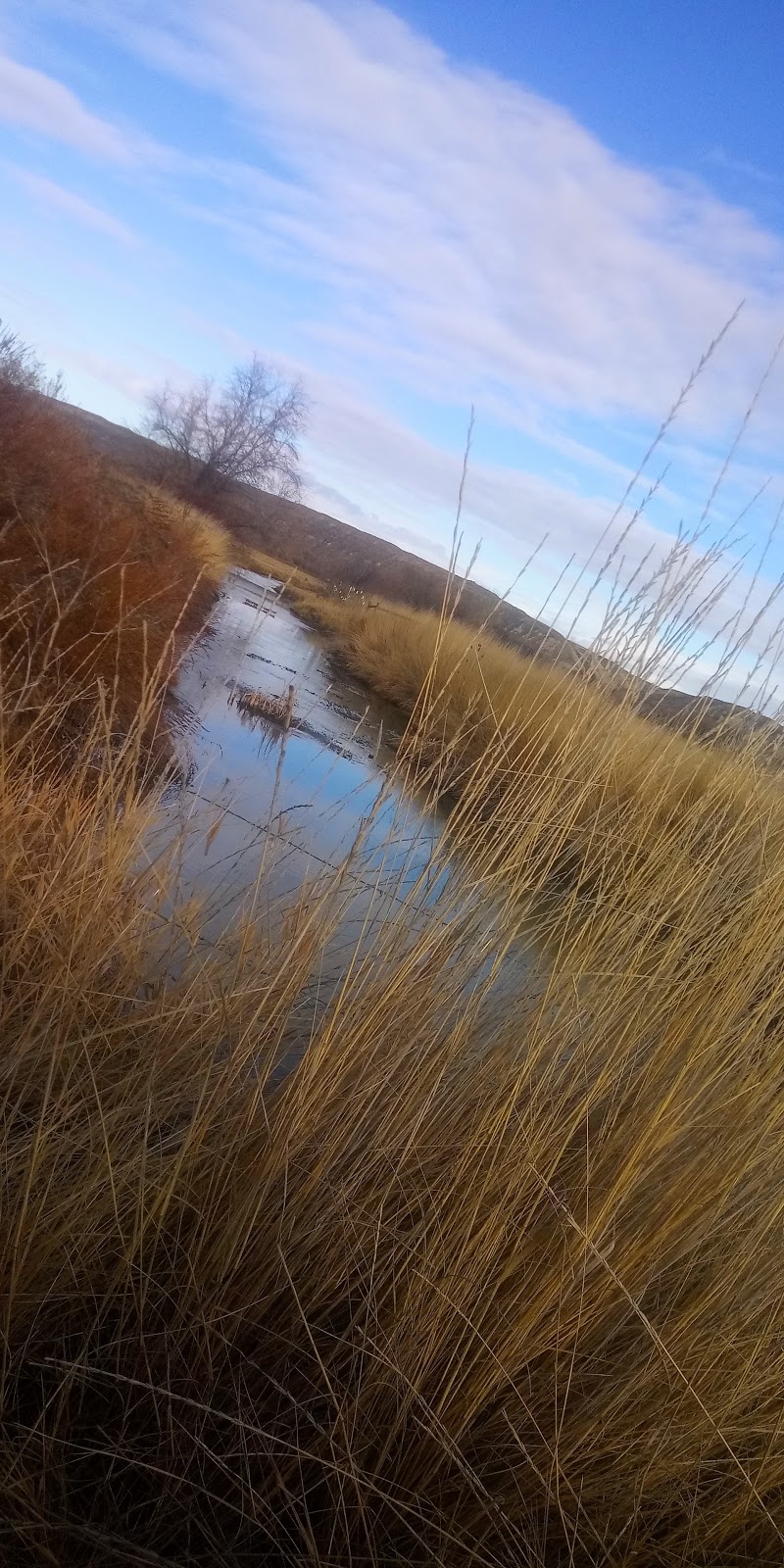 Payette River Wildlife Management Area | 4660 NW 2nd Ave, New Plymouth, ID 83655, USA | Phone: (208) 465-8465