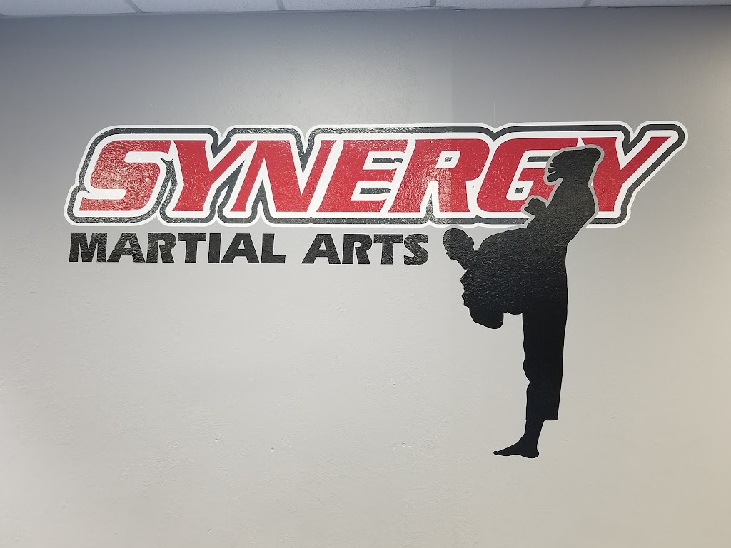 Synergy Martial Arts | 2760 E Trinity Mls Rd Suite 117, Carrollton, TX 75006, USA | Phone: (972) 418-1866