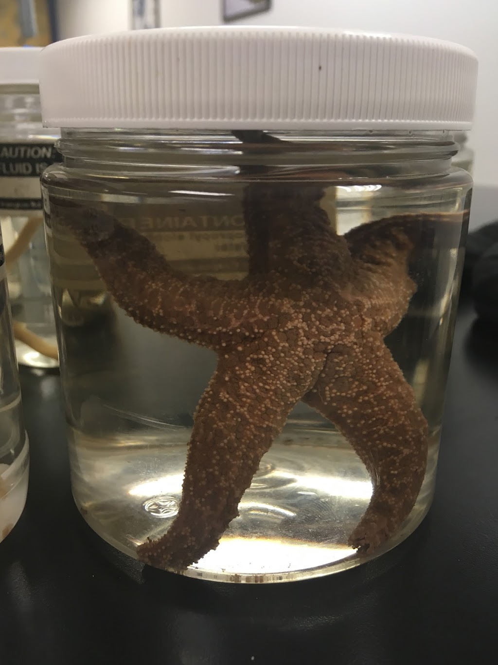 PiM Arts High School - Sunday