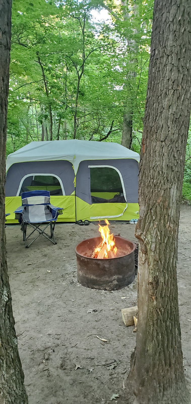 Oak Openings White Oak Campground | Whitehouse, OH 43571, USA | Phone: (419) 407-9700