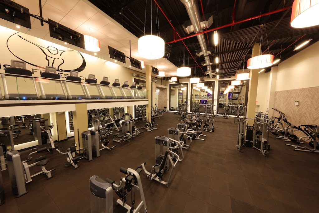 Push Fitness Club of College Point | 132-15A 14th Ave, Queens, NY 11356, USA | Phone: (718) 746-3100