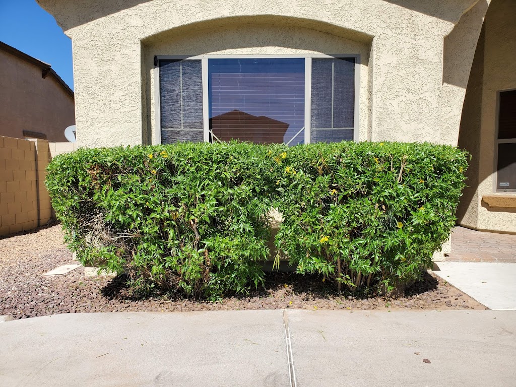 DD Landscaping | 14027 N 130th Dr, El Mirage, AZ 85335 | Phone: (623) 252-6765