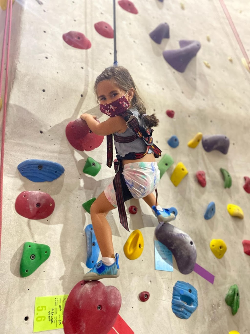 The Stronghold Climbing Gym | 650 S Ave 21, Los Angeles, CA 90031, USA | Phone: (323) 505-7000