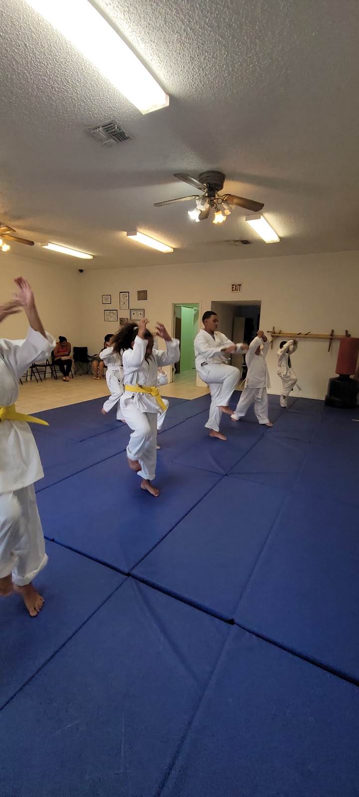 Muntaiga Karate | 1506 34th St NW, Winter Haven, FL 33881, USA | Phone: (863) 332-3285