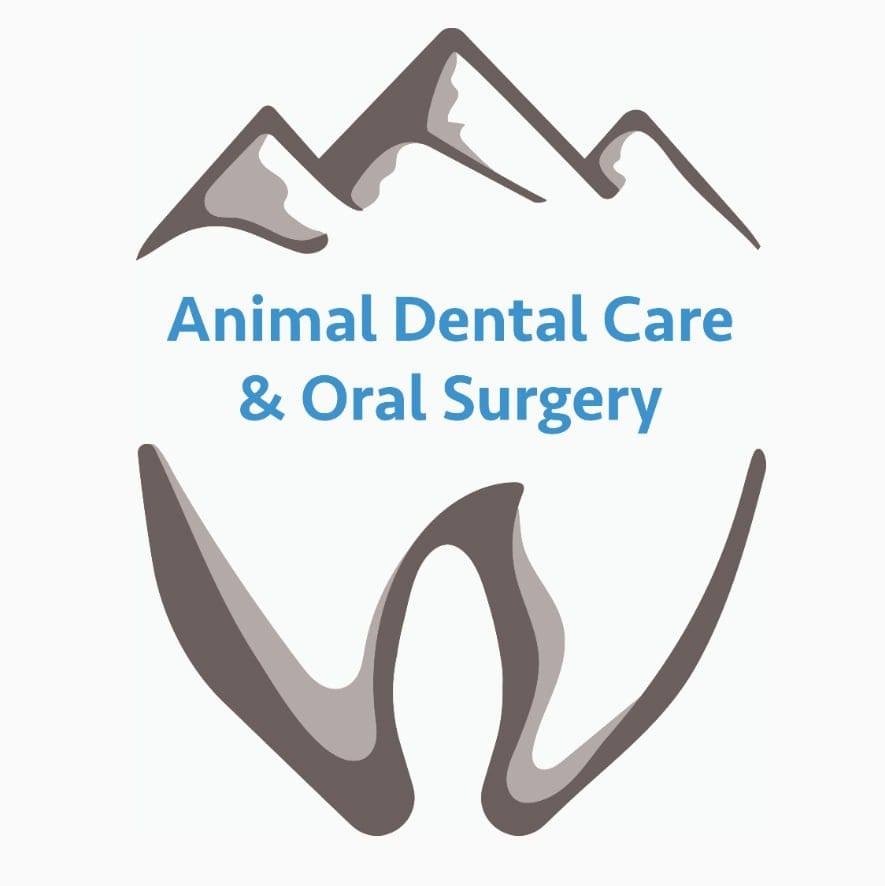 Animal Dental Care & Oral Surgery | 1603 Oakridge Dr #100, Fort Collins, CO 80525, United States | Phone: (970) 732-9777