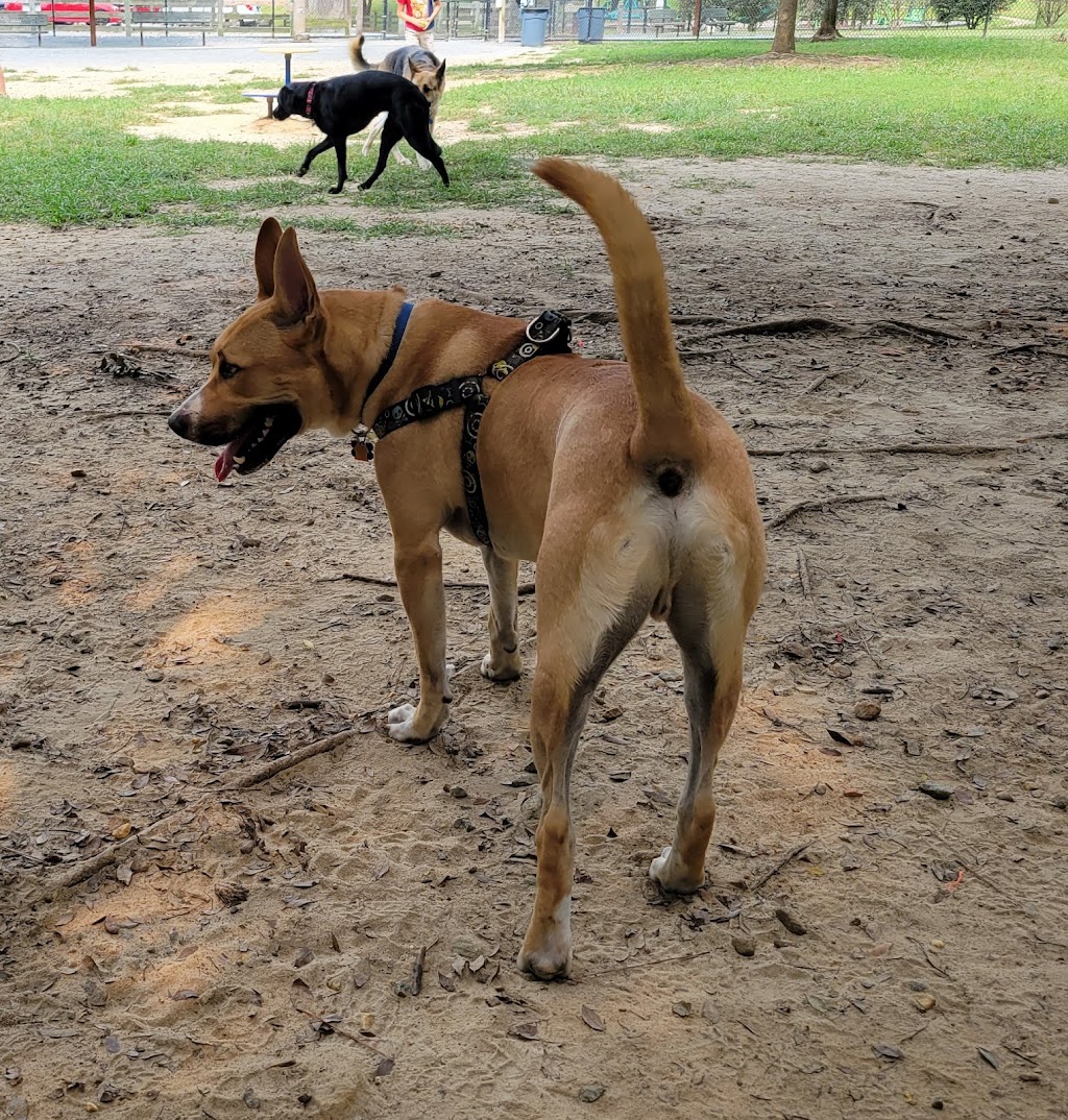 Pitner Road Dog Park | Pitner Rd NW, Acworth, GA 30101, USA | Phone: (770) 528-8890