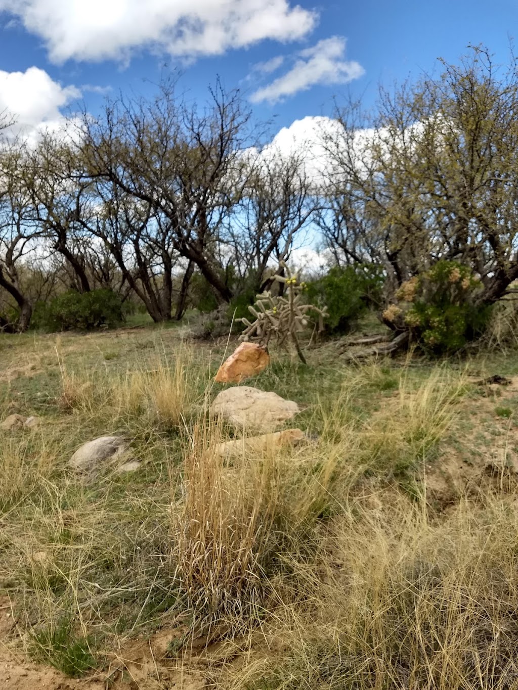 Proctor Parking and Trailhead | S Madera Canyon Rd, Amado, AZ 85645, USA | Phone: (623) 209-4920