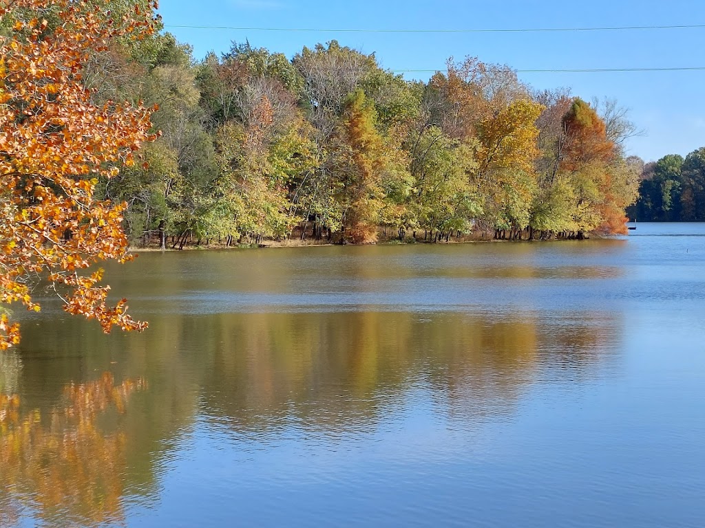 Bledsoe Creek State Park | 400 Zieglers Fort Rd, Gallatin, TN 37066 | Phone: (888) 867-2757