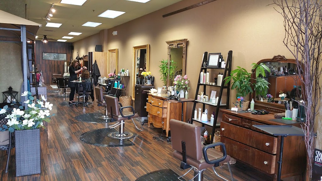 Art & Nature Eco-Salon | 330 Peterson Rd, Libertyville, IL 60048, USA | Phone: (847) 816-7444