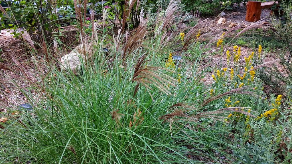 Idyllwild Area Historical Society | 54470 N Circle Dr, Idyllwild-Pine Cove, CA 92549, USA | Phone: (951) 659-2717