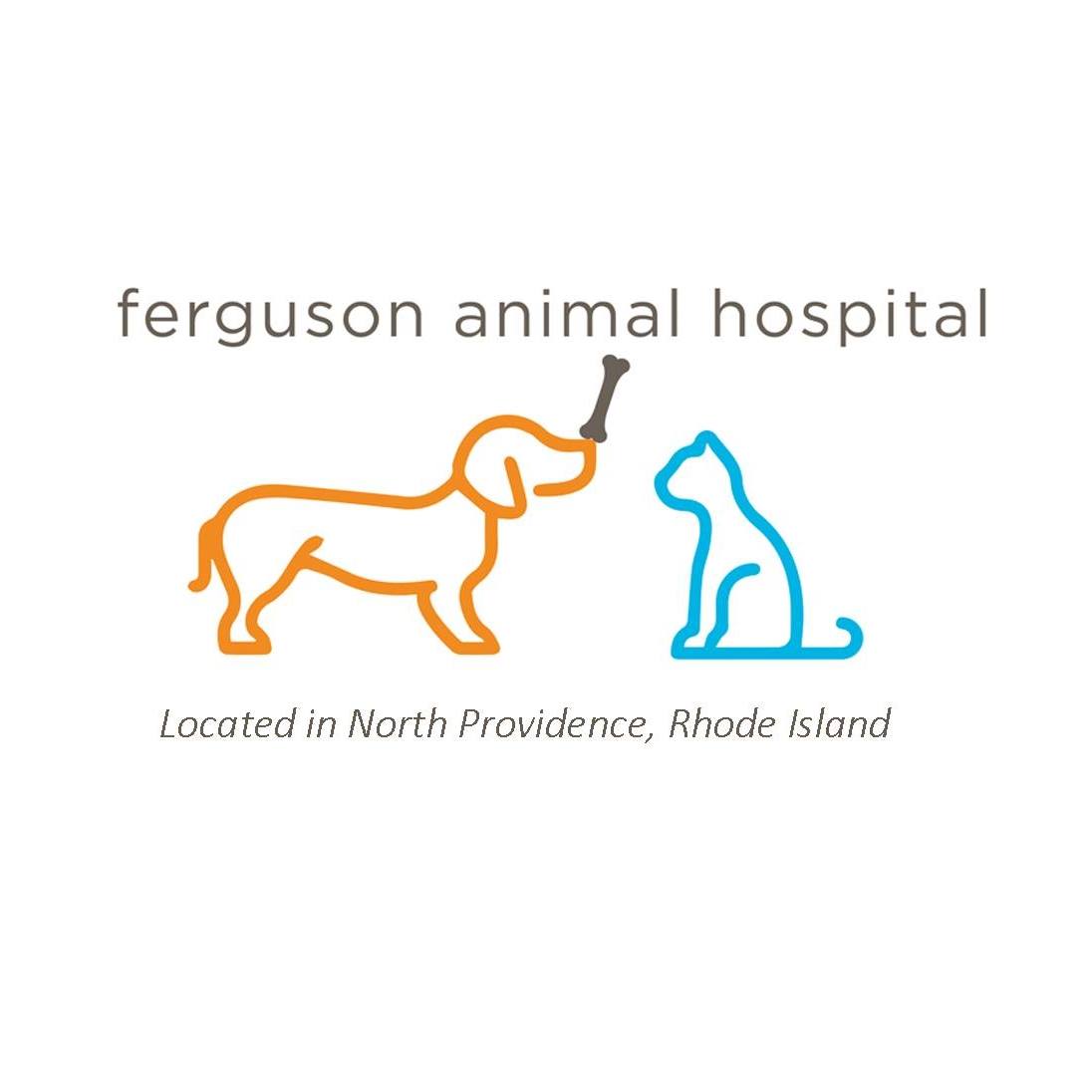 Ferguson Animal Hospital | 660 Woonasquatucket Ave, North Providence, RI 02911, United States | Phone: (401) 349-4280