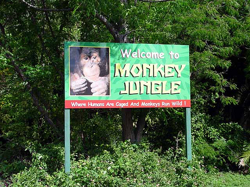 Monkey Jungle | 14805 SW 216th St, Miami, FL 33170, USA | Phone: (305) 235-1611