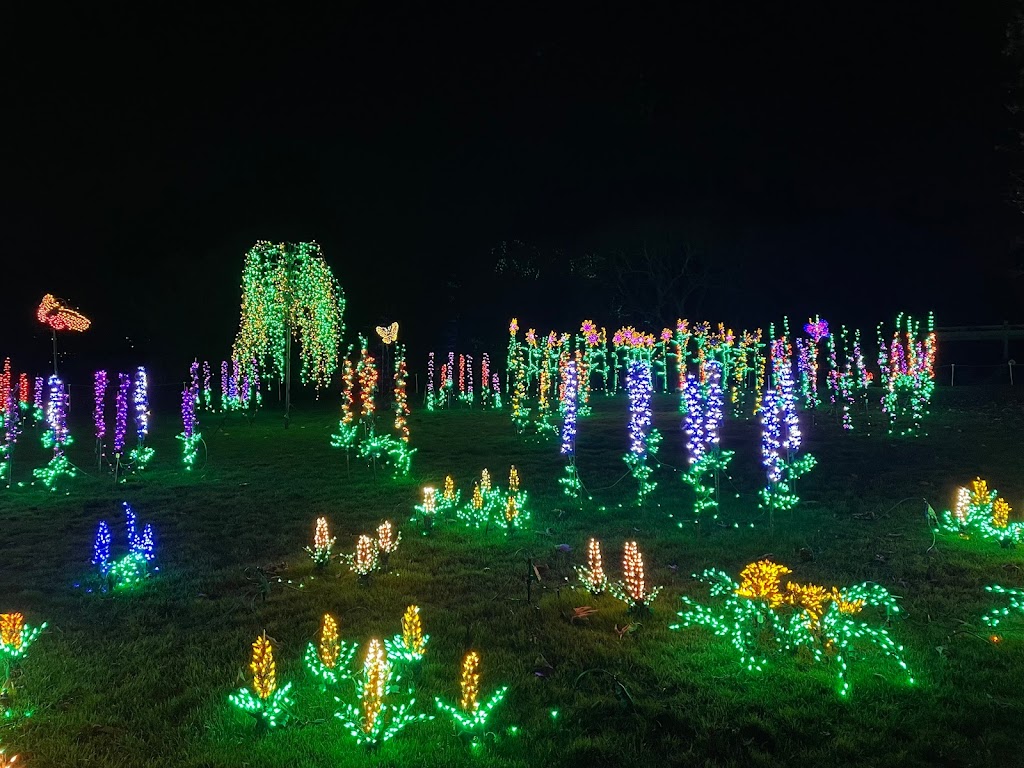 Garden d’Lights | 12001 Main St, Bellevue, WA 98005, USA | Phone: (425) 452-2750