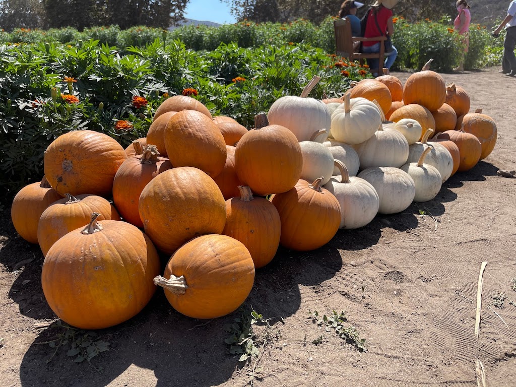 Rancho Hermanos Heredia | km 22 1, Corredor Tijuana - Rosarito 2000, El Laurel, II, 22725 Tijuana, B.C., Mexico | Phone: (619) 918-5311 Rancho Hermanos Heredia | km 22 1, Corredor Tijuana - Rosarito 2000, El Laurel, II, 22725 Tijuana, B.C., Mexico | Phone: (619) 918-5311