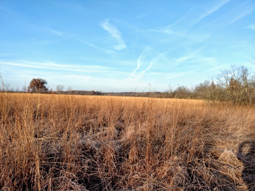 Oxbow Lake Wildlife Area | 9 Schick Rd, Defiance, OH 43512, USA | Phone: (800) 945-3543