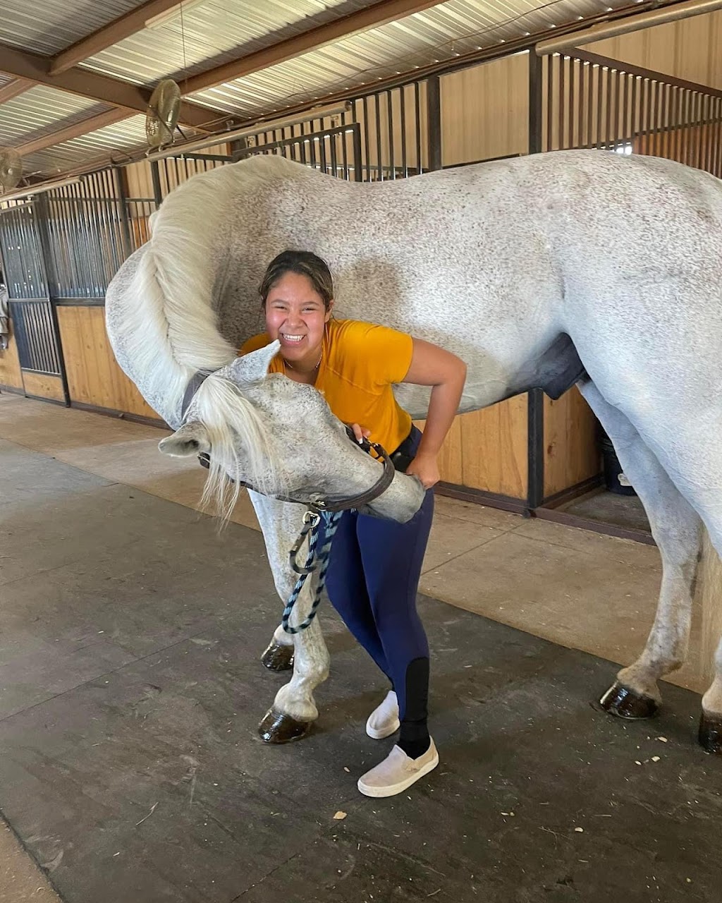 Lancaster Hill Stables | 8696 Co Rd 133, Celina, TX 75009, USA | Phone: (719) 353-7850