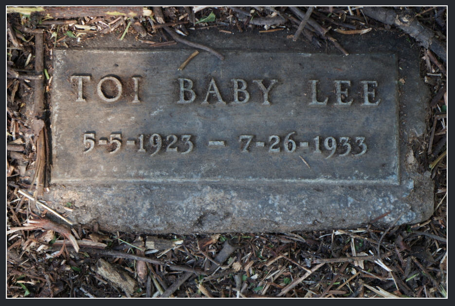 Denver Pet Cemetery & Crematory | 5721 E 72nd Ave, Commerce City, CO 80022 | Phone: (303) 288-0177