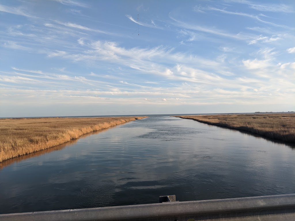 Bethel Beach Natural Area Preserve | State Rte 609, Onemo, VA 23130, USA | Phone: (804) 786-7951