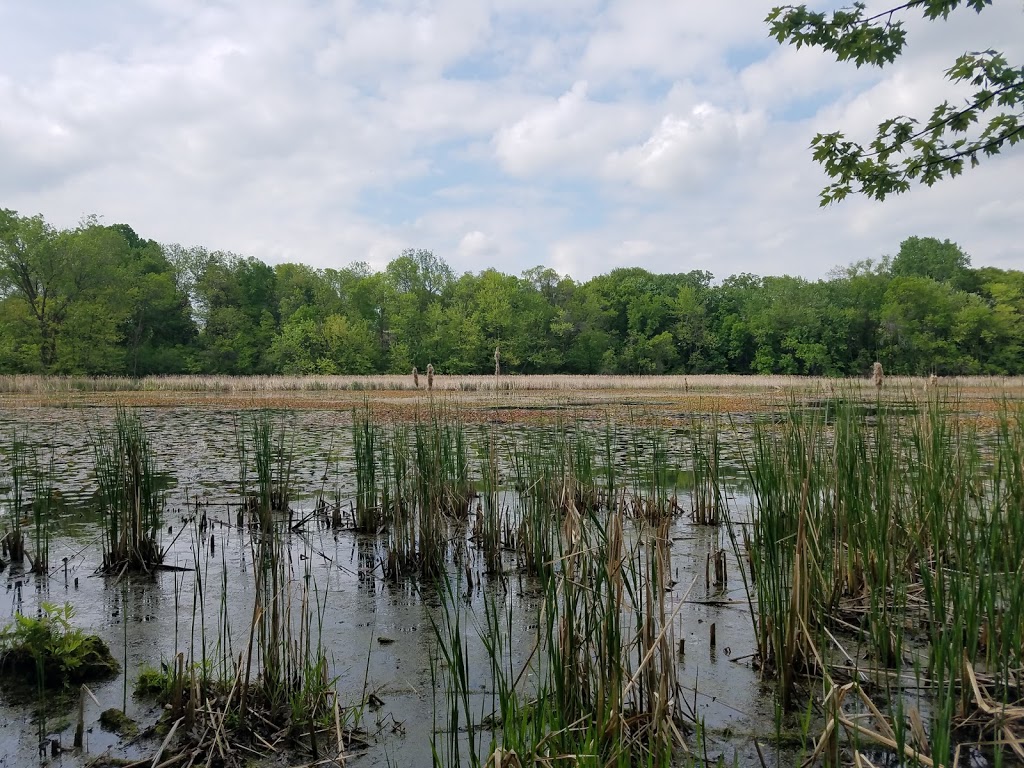 Maplewood Nature Center | 2659 E 7th St, Maplewood, MN 55119, USA | Phone: (651) 249-2170