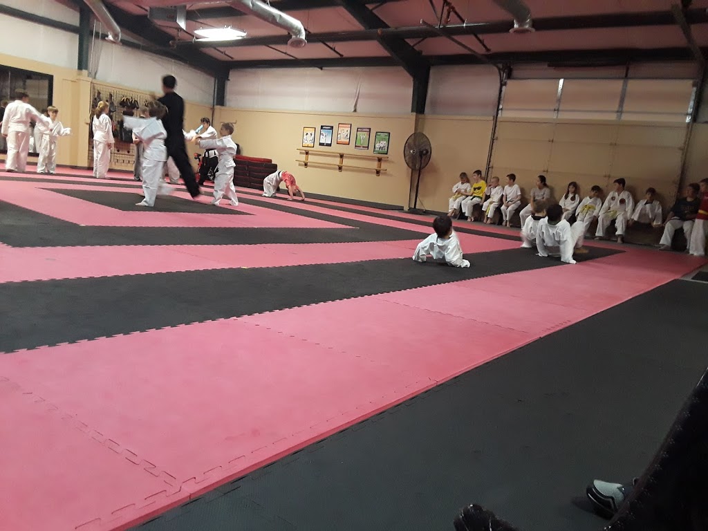 Songs Tae Kwon Do | 1042 Industrial Dr, Pleasant View, TN 37146, USA | Phone: (615) 406-2253