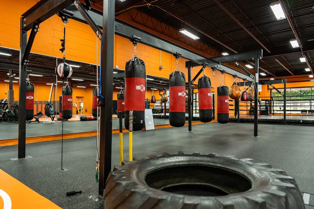 Mule Fitness | 260 Forest Ave, Amsterdam, NY 12010, USA | Phone: (518) 467-6588