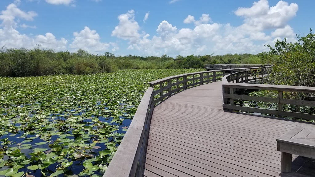 Everglades National Park | Florida, USA | Phone: (305) 242-7700