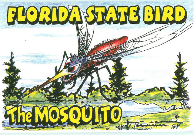 Mosquito Masters Of Florida | 9004 Grosse Pointe Cir, Tampa, FL 33635, USA | Phone: (813) 340-2688