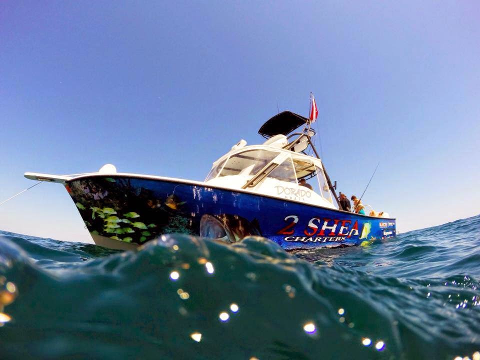 2 Shea Fishing and Diving Charters | 880 N Osceola Ave, Clearwater, FL 33755 | Phone: (813) 385-2169