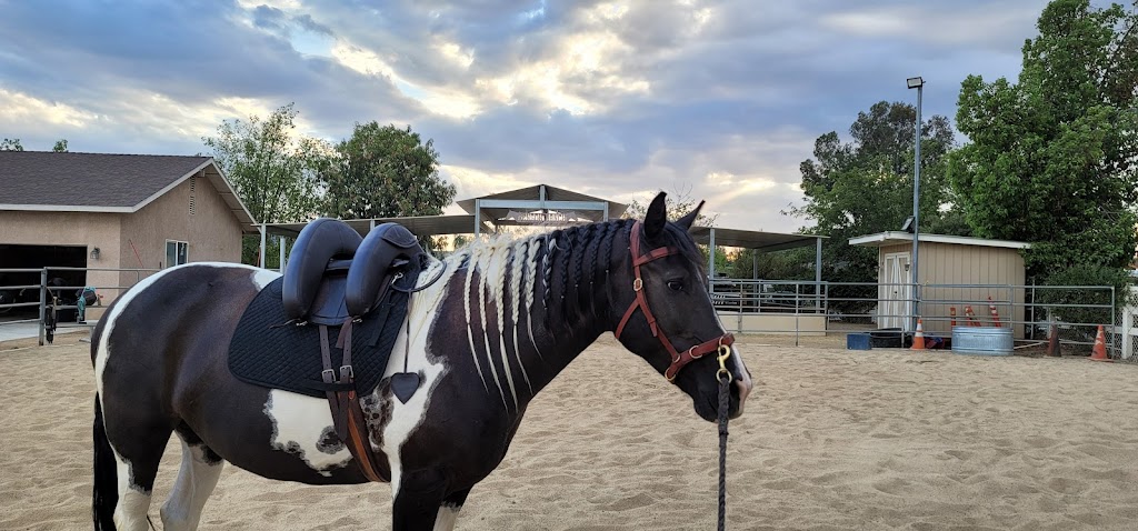 Allegras Equine Connections | 28791 Tulita Ln, Menifee, CA 92584, USA | Phone: (951) 821-1181