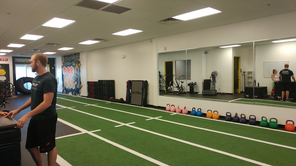 Machine Fitness | 12555 Orange Dr #4058, Davie, FL 33330, USA | Phone: (954) 329-1015