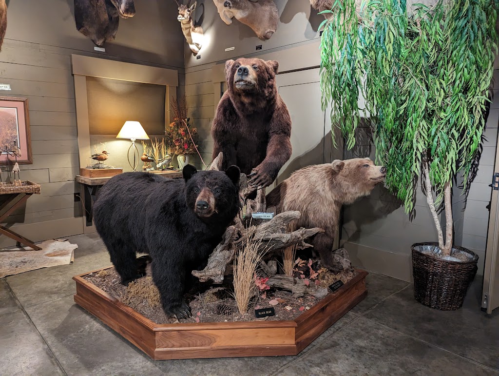 Wendel Museum of Animal Conservation | 8303 SE Evergreen Hwy, Vancouver, WA 98664, USA | Phone: (360) 241-9646