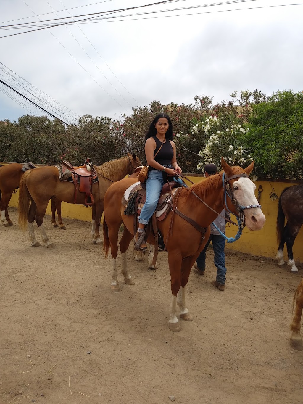 Baja by Horse | Rosarito, 22765 La Misión, B.C., Mexico | Phone: (760) 715-4639