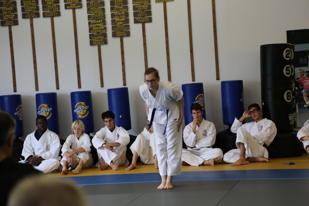 Twinsburg Karate Institute (TKI) | 2272 Pinnacle Pkwy, Twinsburg, OH 44087, USA | Phone: (330) 963-3069