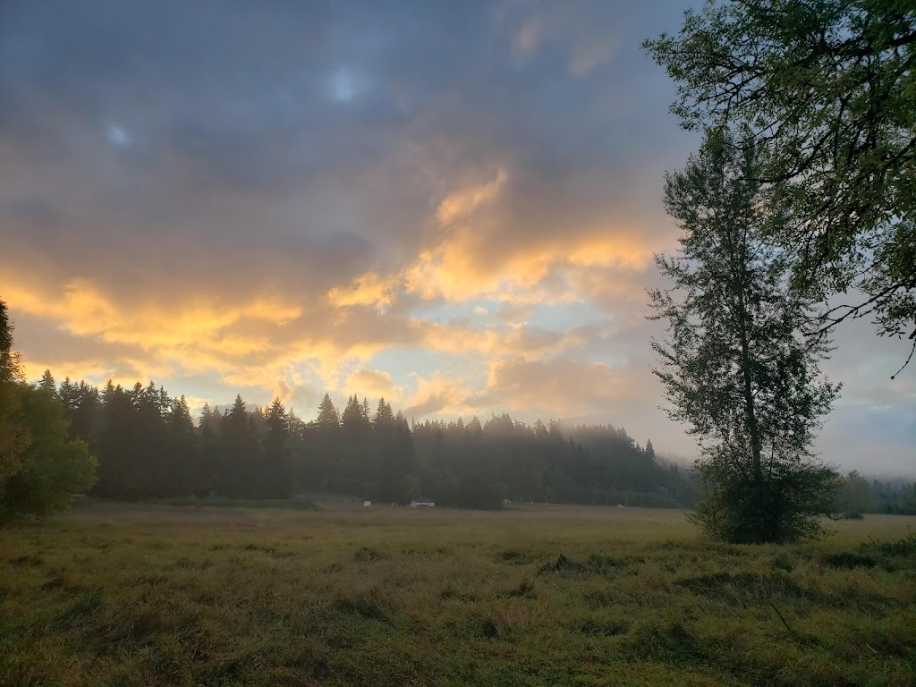 Bear Creek Park | Evans Creek Trail, Redmond, WA 98053, USA | Phone: (425) 556-2900