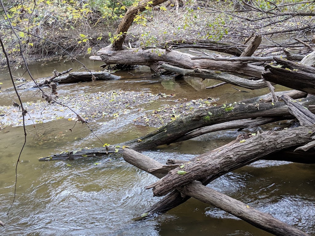 Helms Haven Recreation Area | 22777-22899 Edward N Hines Dr, Dearborn Heights, MI 48127, USA | Phone: (734) 261-1990