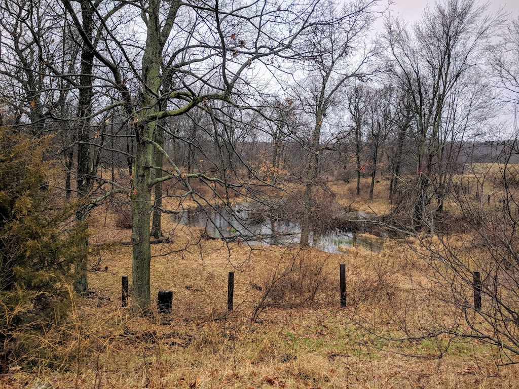 Watkins Lake State Park Parking Area | Brooklyn, MI 49230, USA | Phone: (517) 467-7401