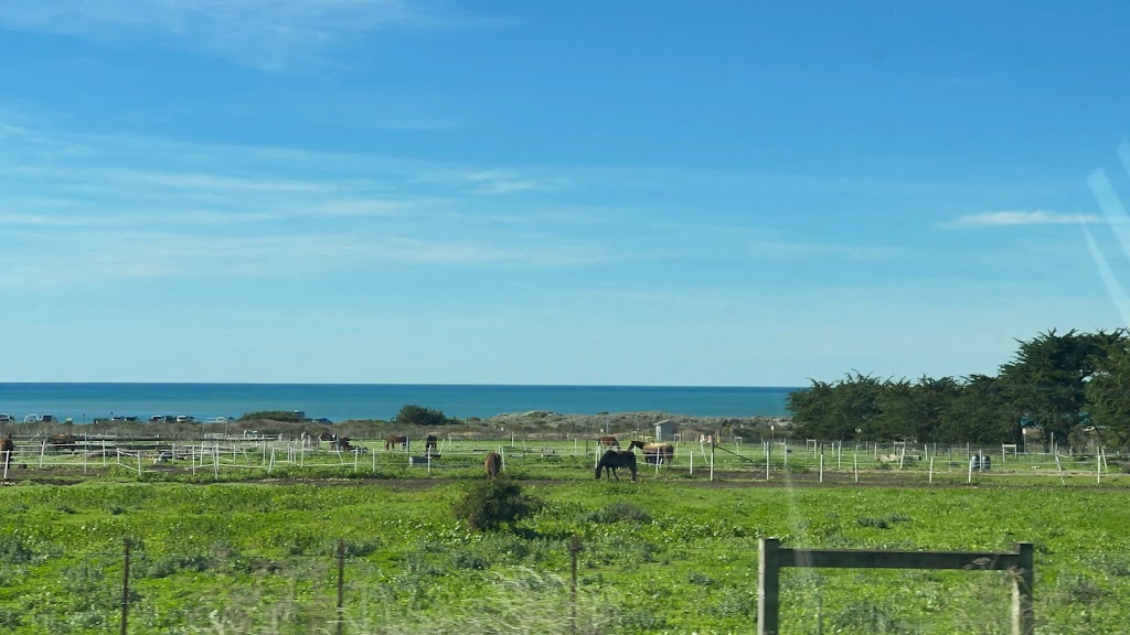 Dunes Beach - Half Moon Bay State Beach | 12 Young Ave, Half Moon Bay, CA 94019, USA | Phone: (650) 726-8819